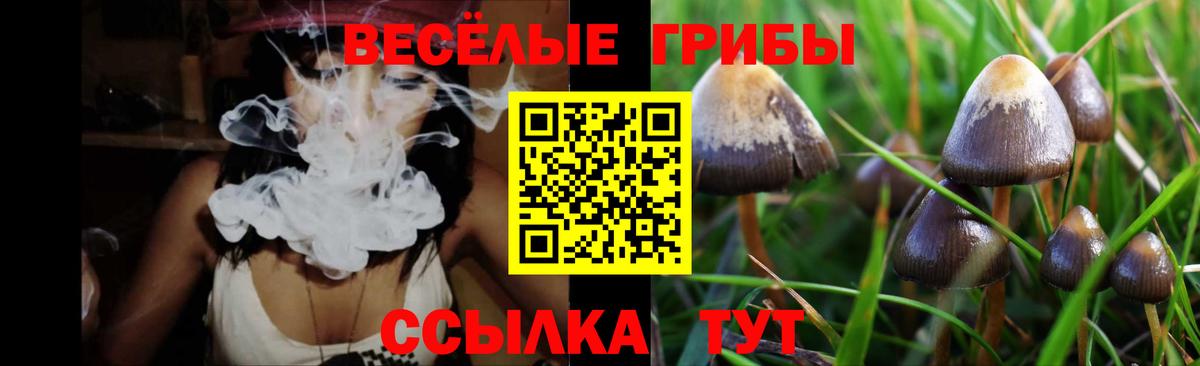 даркнет сайт  Вход с VPN  Торжок  Галлюциногенные грибы GOLDEN TEACHER 
